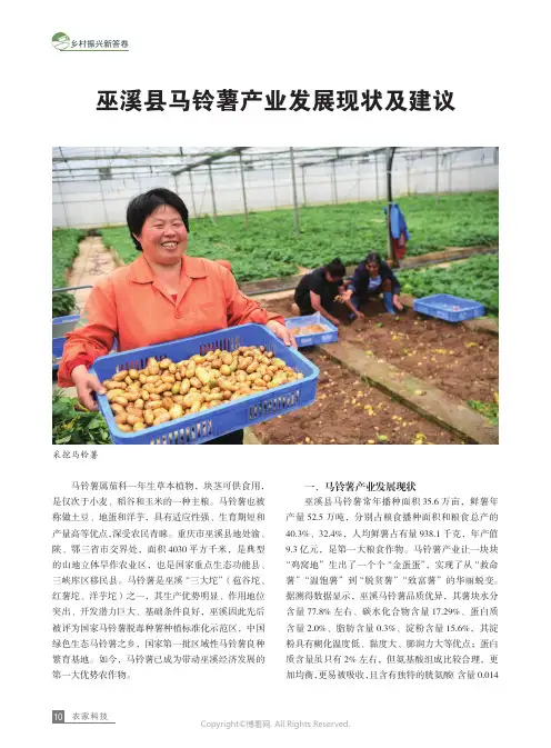 巫溪县马铃薯产业发展现状及建议