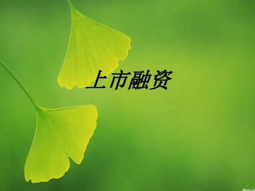 上市融资ppt课件