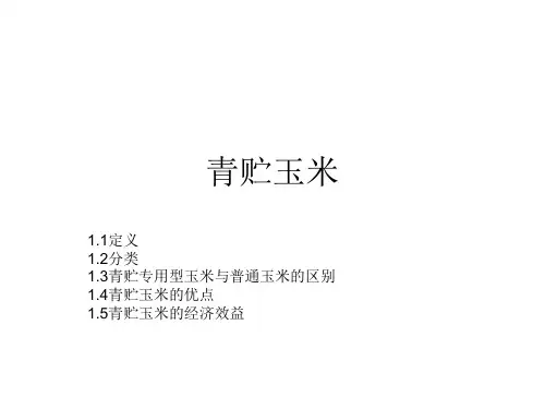 青贮玉米