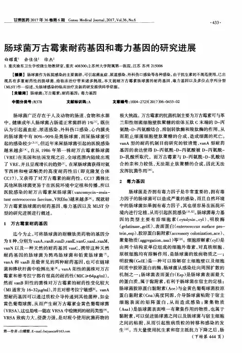 肠球菌万古霉素耐药基因和毒力基因的研究进展