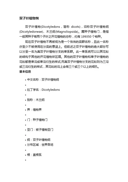 双子叶植物纲