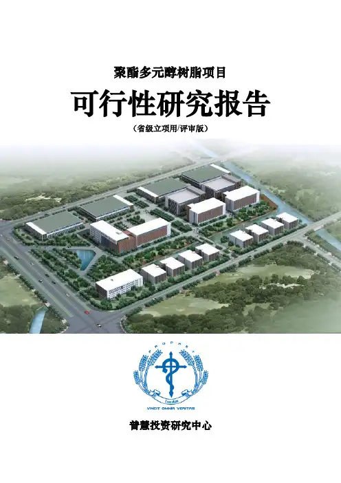 聚酯多元醇树脂项目可行性研究报告省级立项用(评审版)