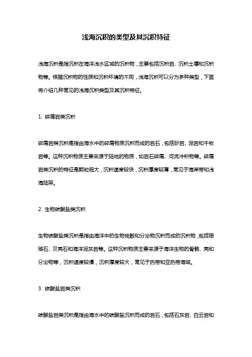 浅海沉积的类型及其沉积特征