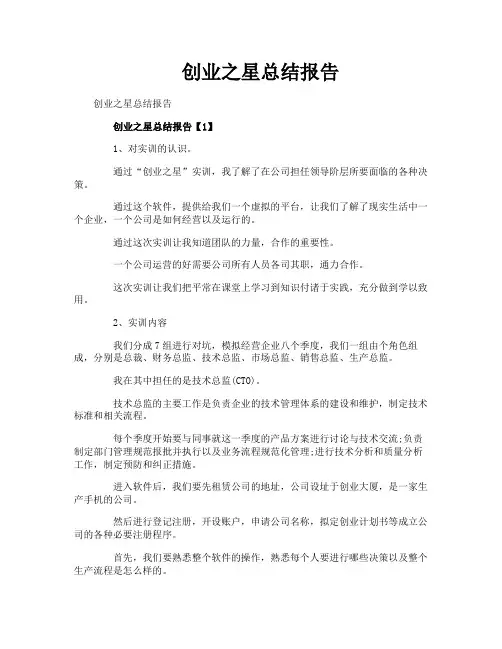 创业之星总结报告