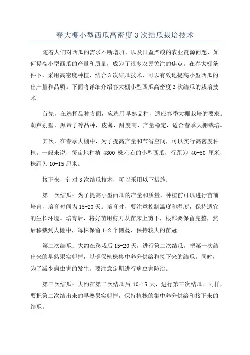春大棚小型西瓜高密度3次结瓜栽培技术