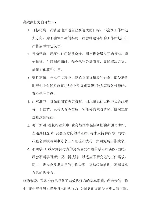 高效执行力自评