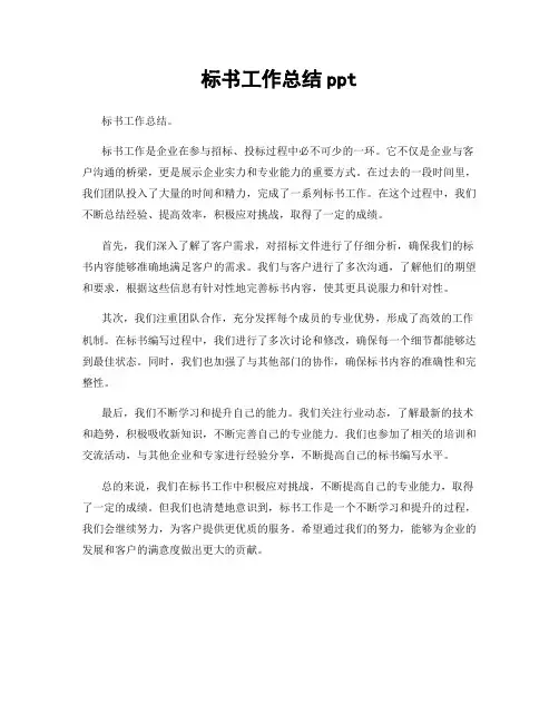 标书工作总结ppt