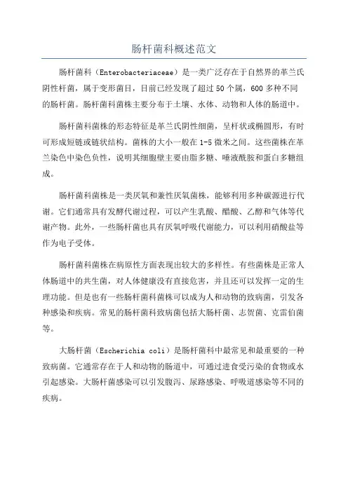肠杆菌科概述范文