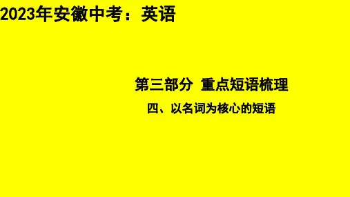 2023年安徽省中考英语专题总复习：以名词为核心的短语