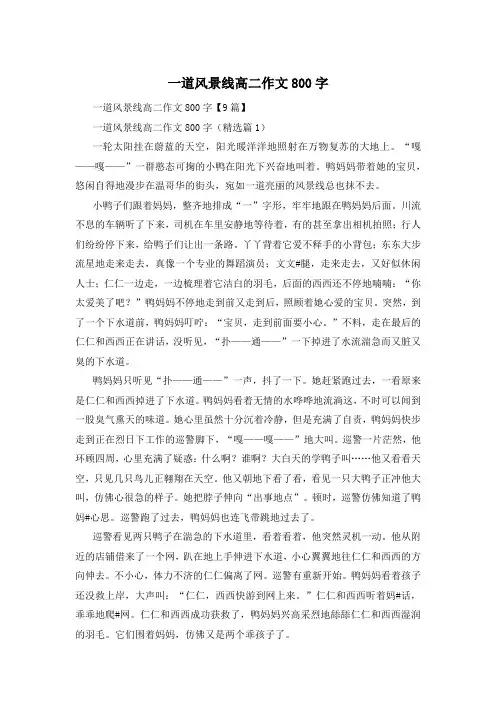 一道风景线高二作文800字