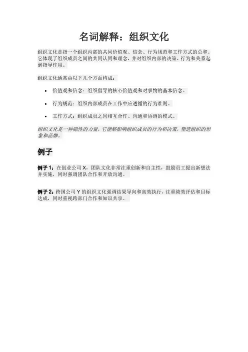 名词解释 组织文化