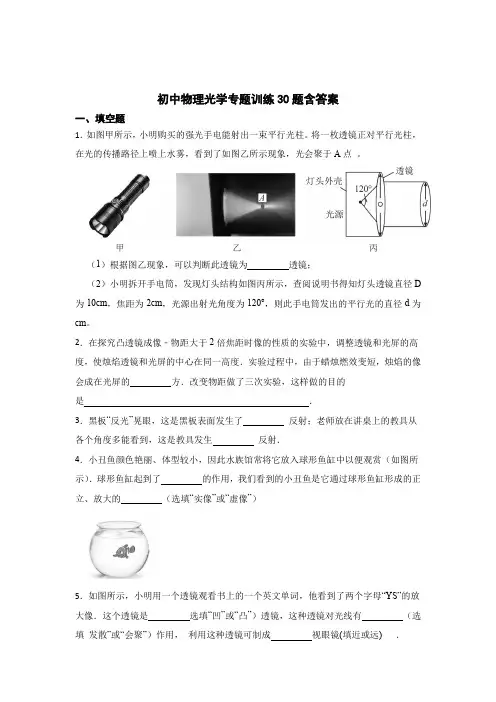 初中物理光学专题训练30题含答案解析精选5套