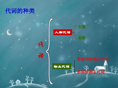 人称代词主格和宾格、形物代、名物代解析