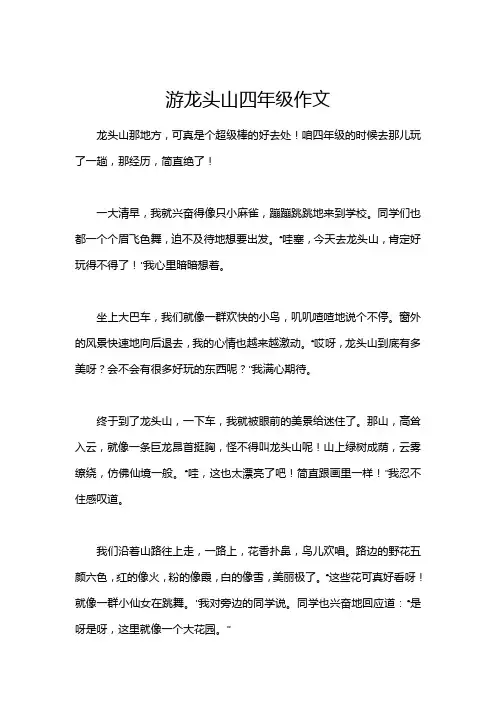 游龙头山四年级作文