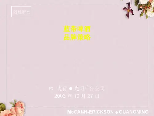 蓝带啤酒的品牌策略(ppt 113页)