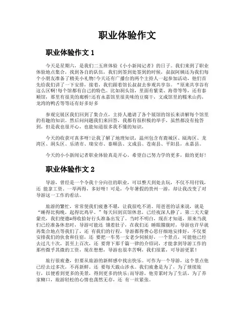 职业体验作文