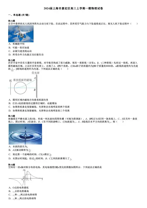 2024届上海市嘉定区高三上学期一模物理试卷