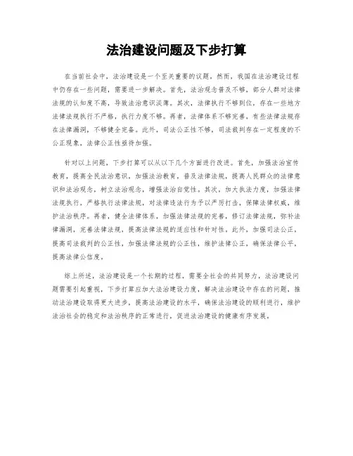 法治建设问题及下步打算