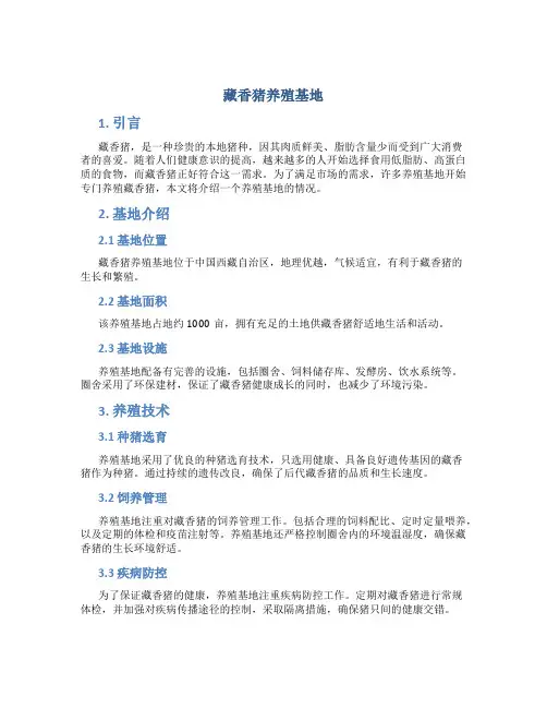 藏香猪养殖基地