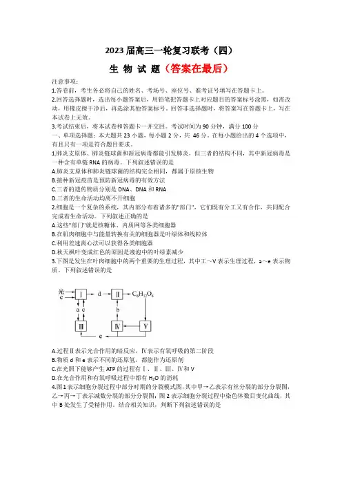 百师联盟2022-2023学年高三上学期一轮复习联考(四)全国卷 生物含解析
