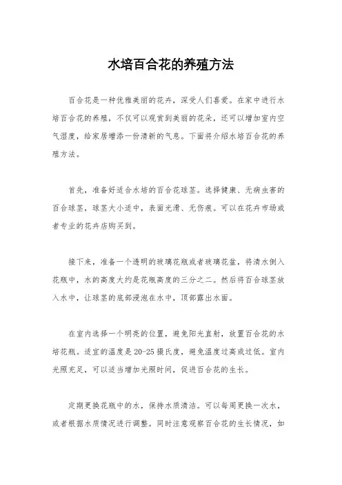 水培百合花的养殖方法