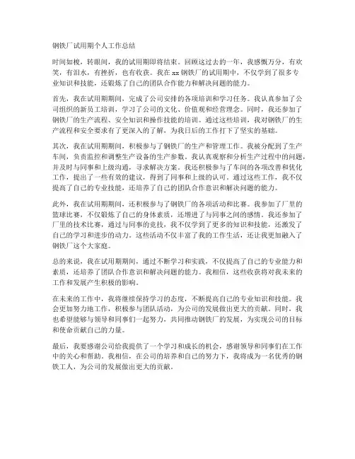 钢铁厂试用期个人工作总结