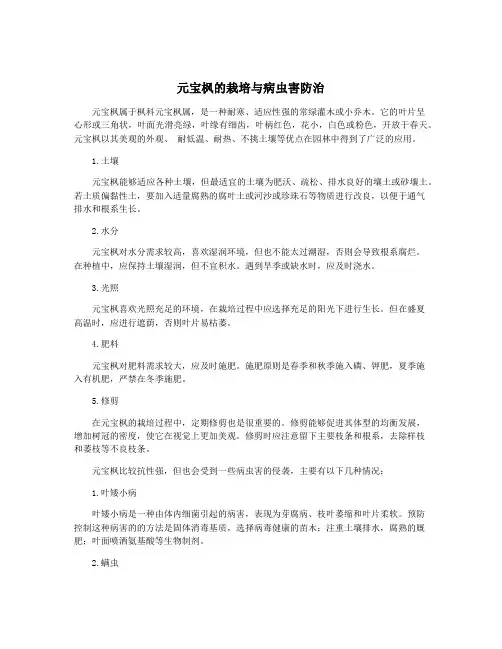 元宝枫的栽培与病虫害防治