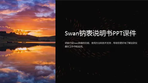 《swan钠表说明书》课件