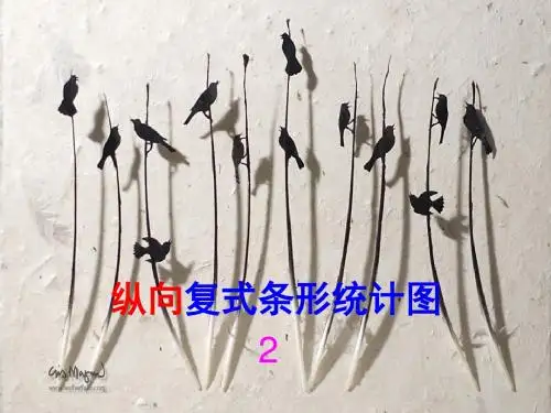 纵向复式条形统计图