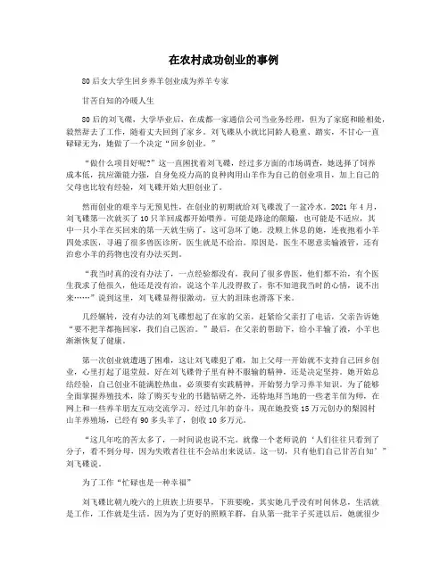 在农村成功创业的事例