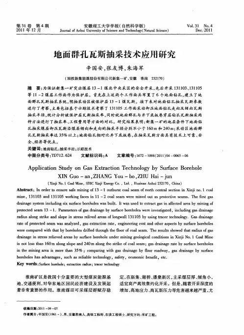 地面群孔瓦斯抽采技术应用研究