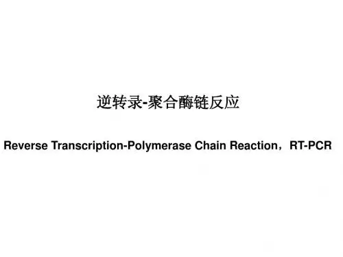 RT-PCR