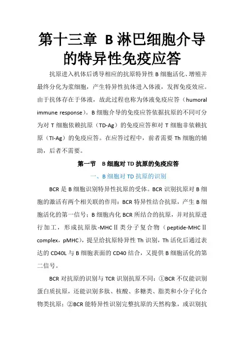 第十三章  B淋巴细胞介导的特异性免疫应答