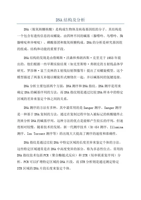 DNA结构及分析