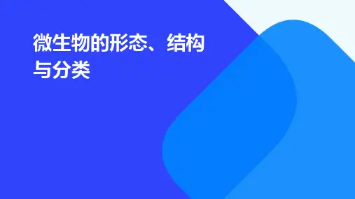 微生物的形态、结构与分类