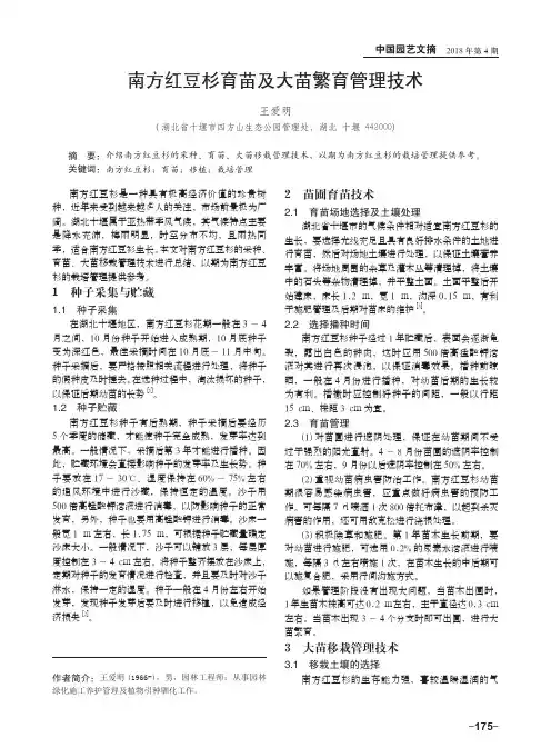 南方红豆杉育苗及大苗繁育管理技术