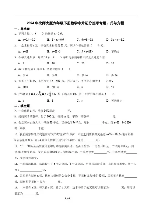 2024年北师大版六年级下册数学小升初分班考专题：式与方程(含答案)