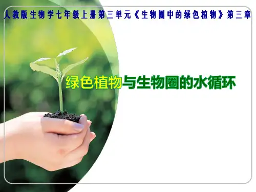 绿色植物与生物圈的水循环 说课稿
