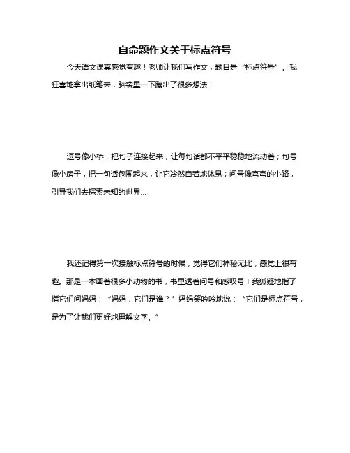 自命题作文关于标点符号