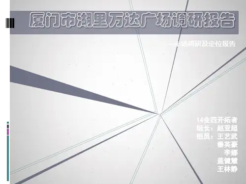 厦门湖里万达广场调研报告
