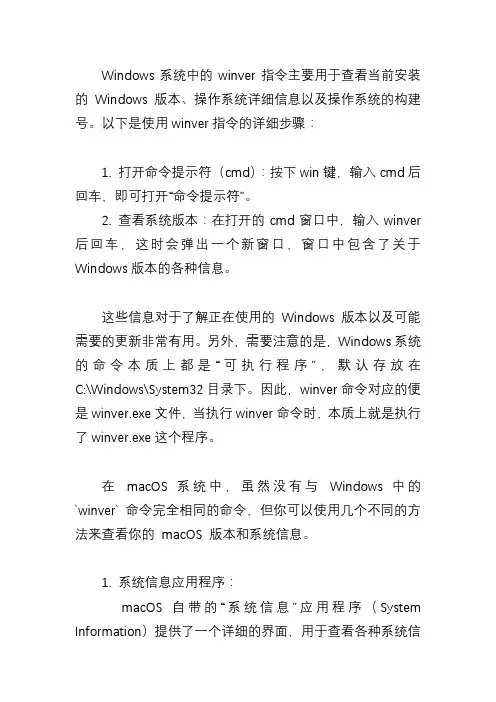 windows里的winver指令用法