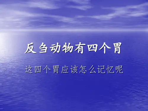 反刍动物胃的形态特点
