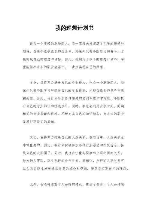 我的理想计划书