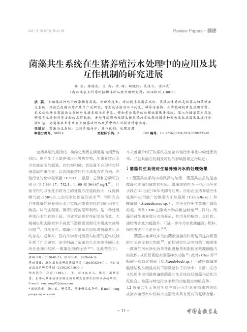 菌藻共生系统在生猪养殖污水处理中的应用及其互作机制的研究进展