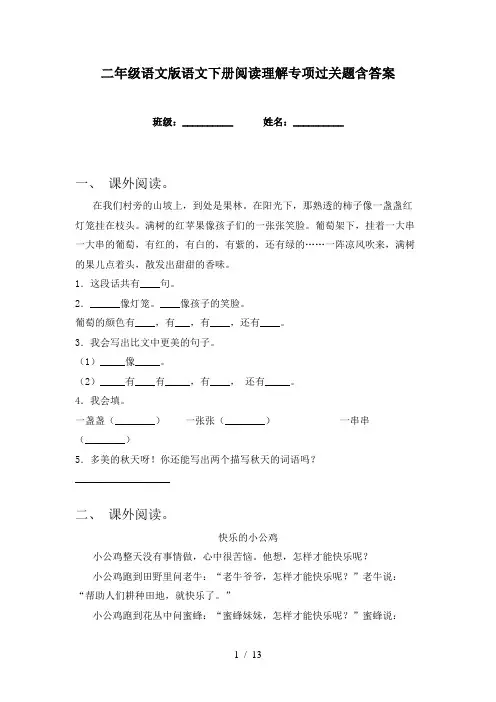 二年级语文版语文下册阅读理解专项过关题含答案