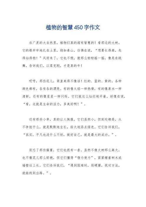 植物的智慧450字作文