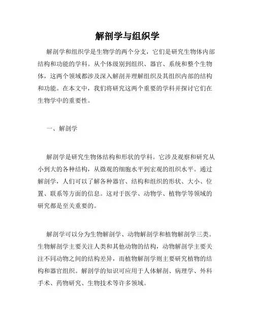 解剖学与组织学