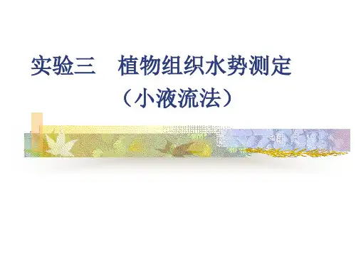 植物组织的水势测定