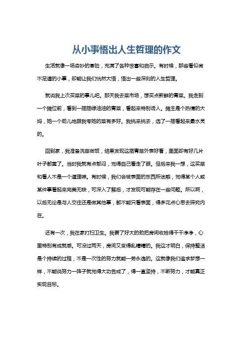 从小事悟出人生哲理的作文