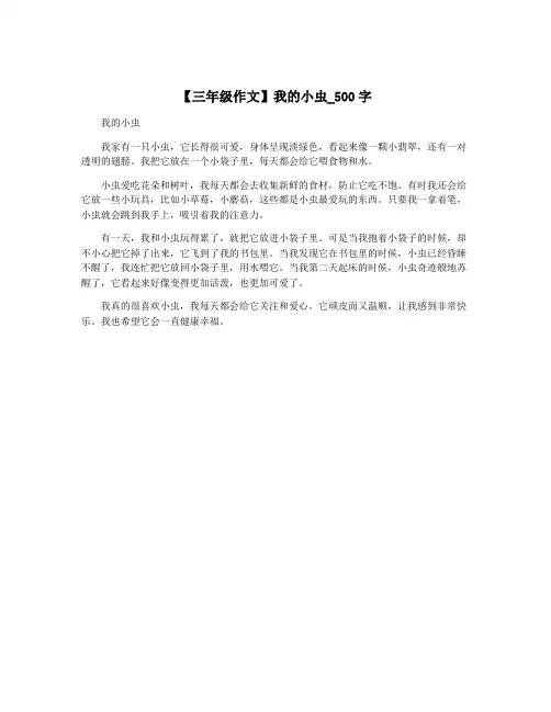 【三年级作文】我的小虫_500字
